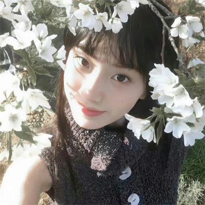 凤鸣笙歌